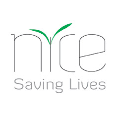 Nice_Logo